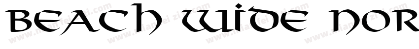 Beach Wide Normal字体转换